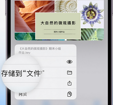 博山apple维修中心分享iPhone文件应用中存储和找到下载文件