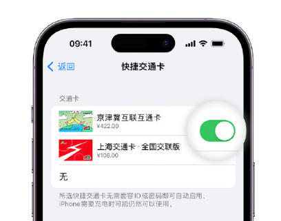 博山apple维修点分享iPhone上更换Apple Pay快捷交通卡手绘卡面 