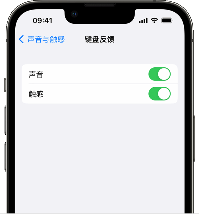 博山苹果14维修店分享如何在 iPhone 14 机型中使用触感键盘 