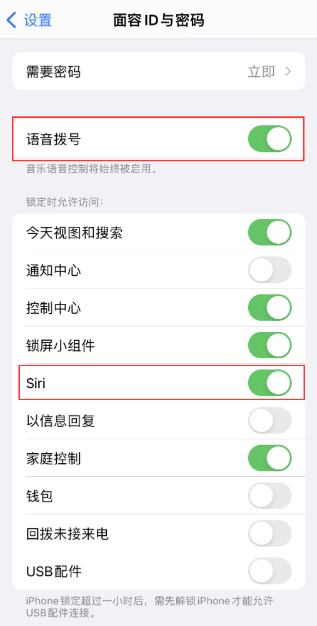 博山苹果维修网点分享不解锁 iPhone 的情况下通过 Siri 拨打电话的方法 