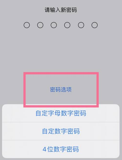 博山苹果14维修分享iPhone 14plus设置密码的方法 