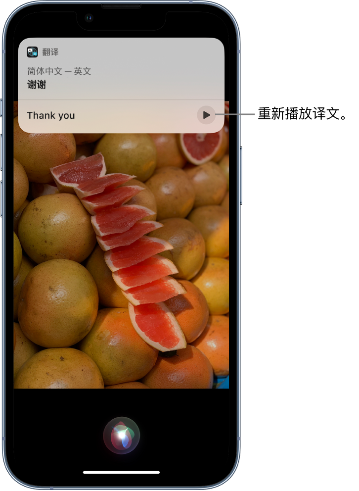 博山苹果14维修分享 iPhone 14 机型中使用 Siri：了解 Siri 能帮你做什么 