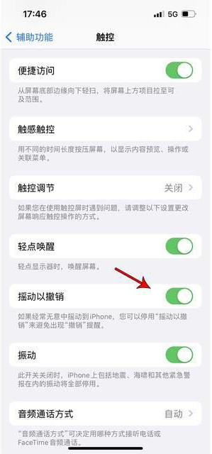 博山苹果手机维修分享iPhone手机如何设置摇一摇删除文字 