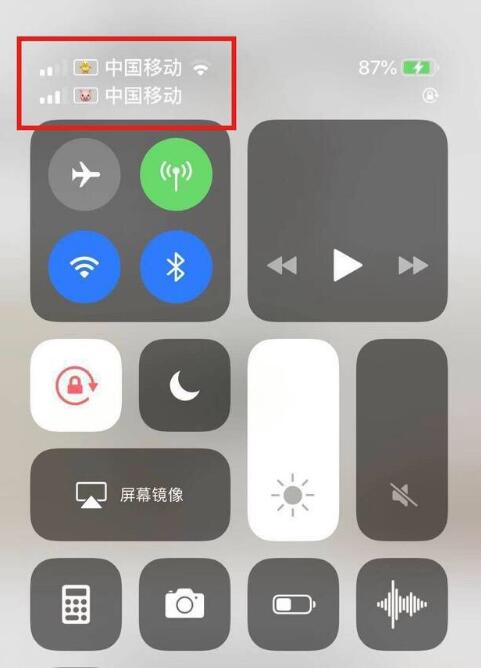 博山苹果手机维修分享为 iPhone 12 双卡设置标签 