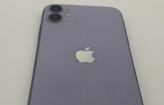 博山苹果11系统维修分享iPhone11手机系统崩溃无法开机如何解决